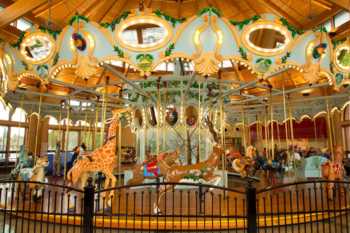 Albany Carousel